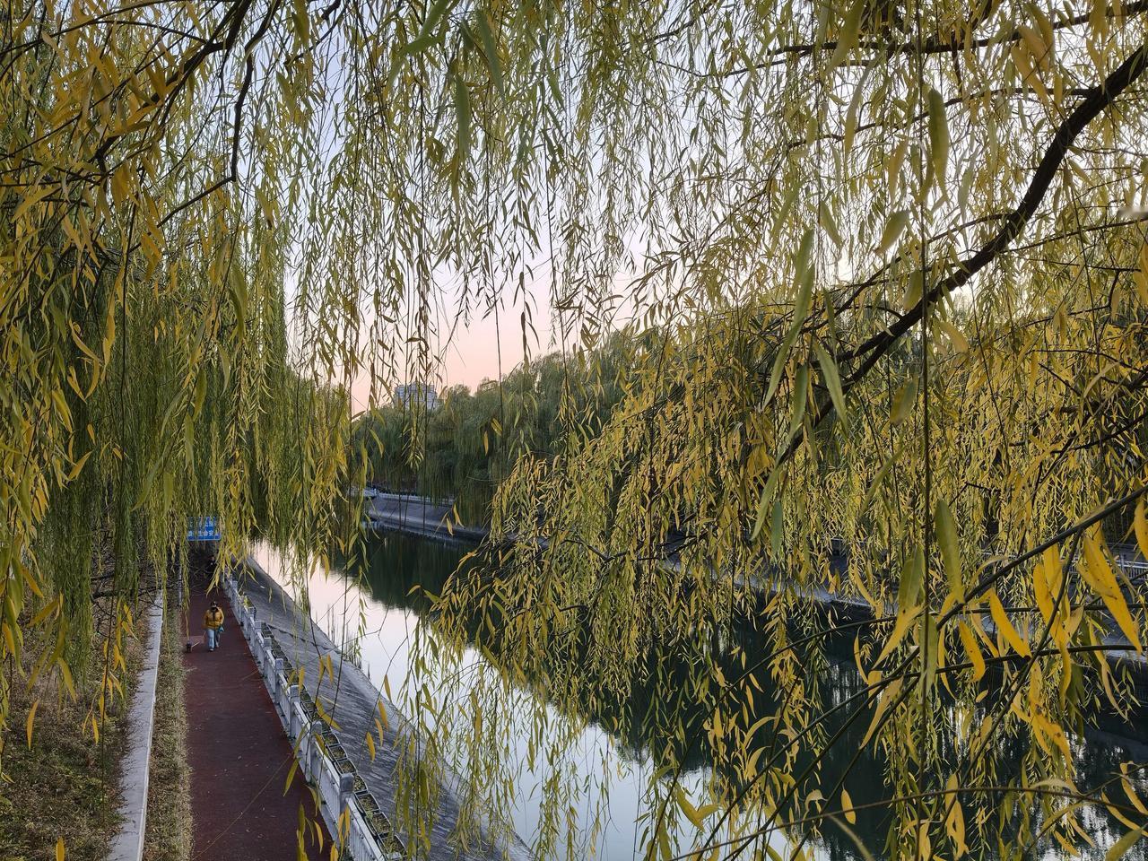 今天听一个厨师分享一个煮鸡蛋的小窍门！开水下锅，煮8分30秒恰到好处，有