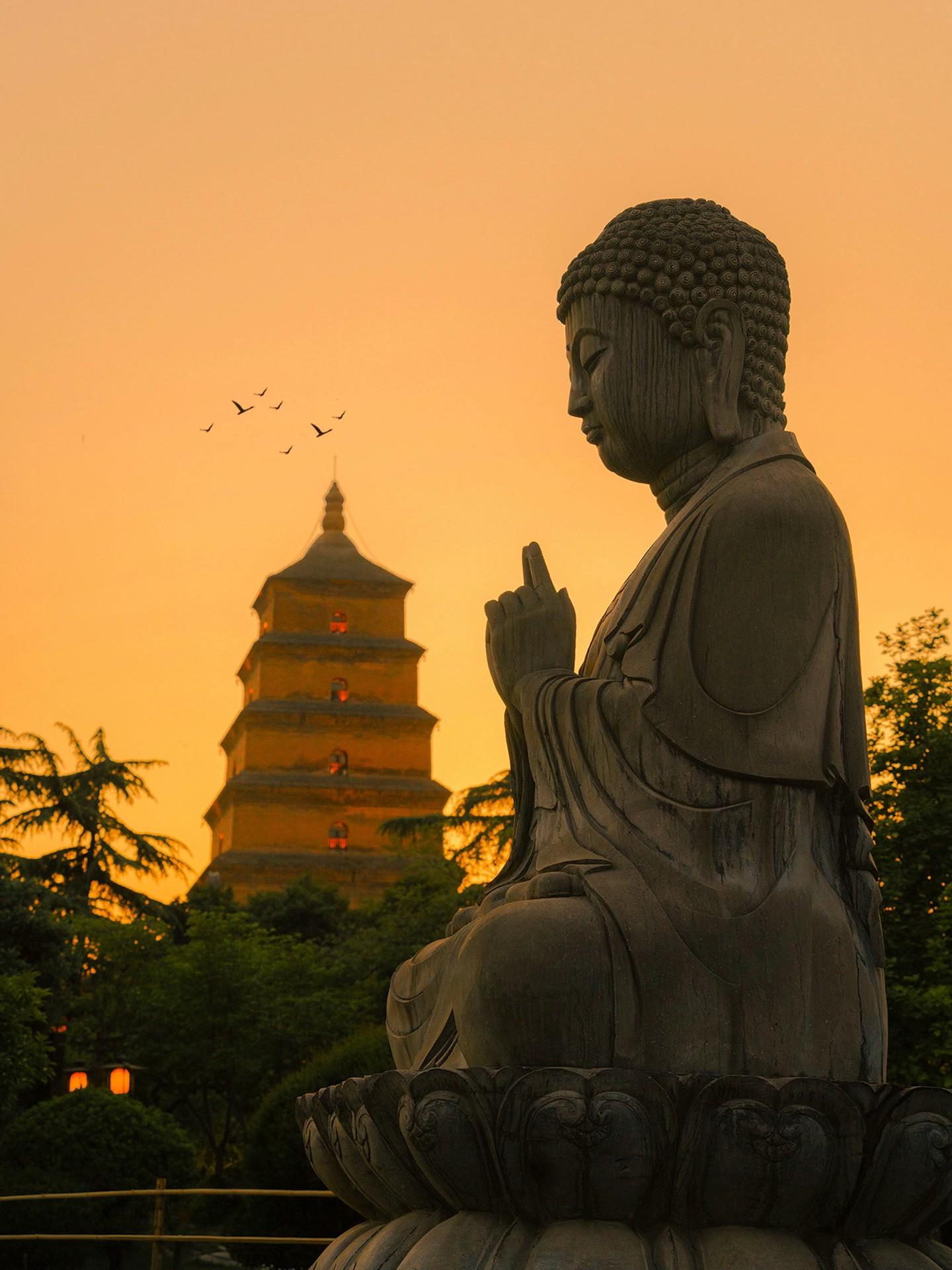 为了这1️⃣8️⃣张图和这台🚗我特意飞了趟西安。如果你也喜欢历史古都...
