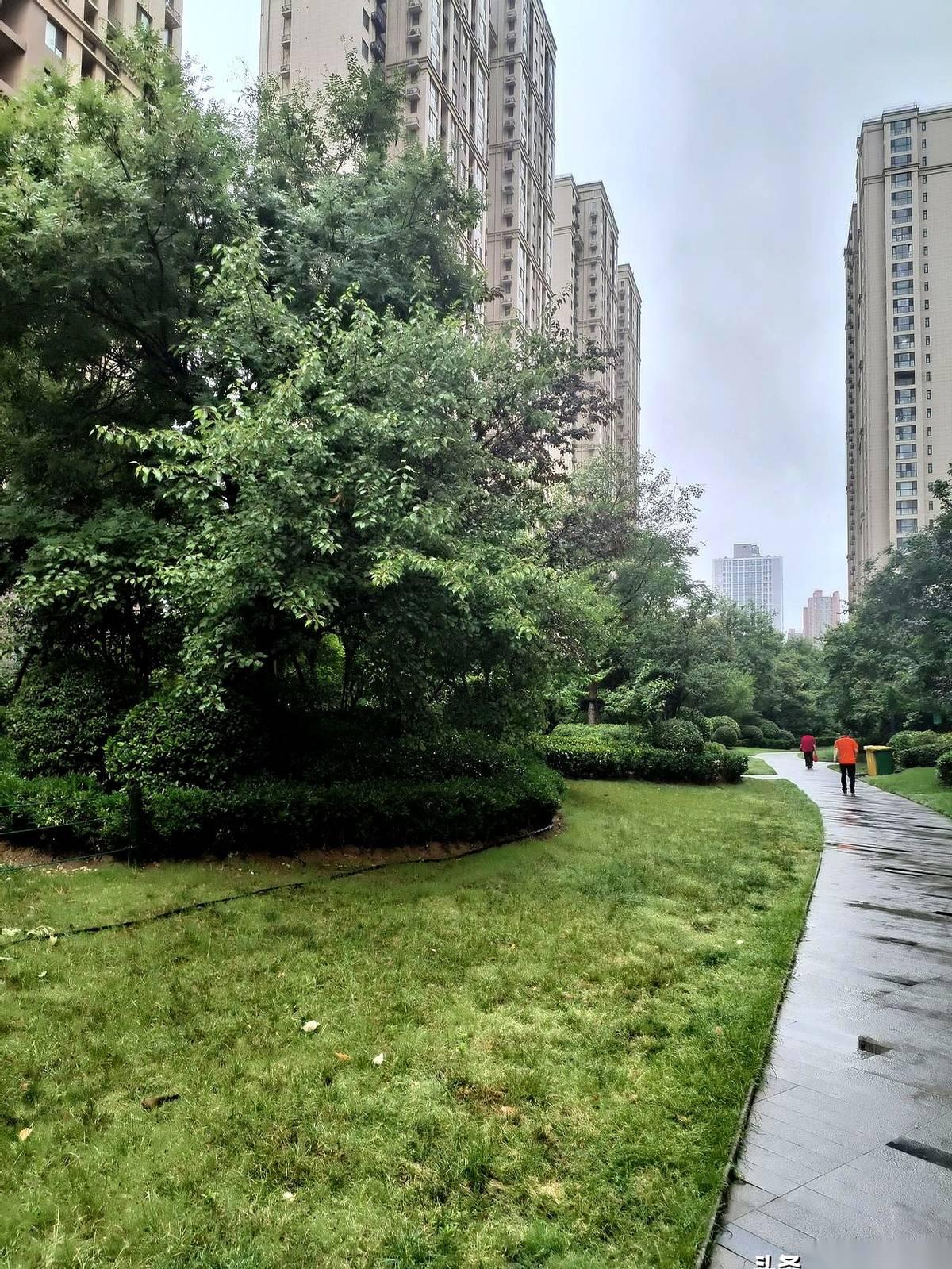 郑州的端午节，细雨刚一落地，村里老人的眉头就直接拧成了一个死结。“完了，就怕端