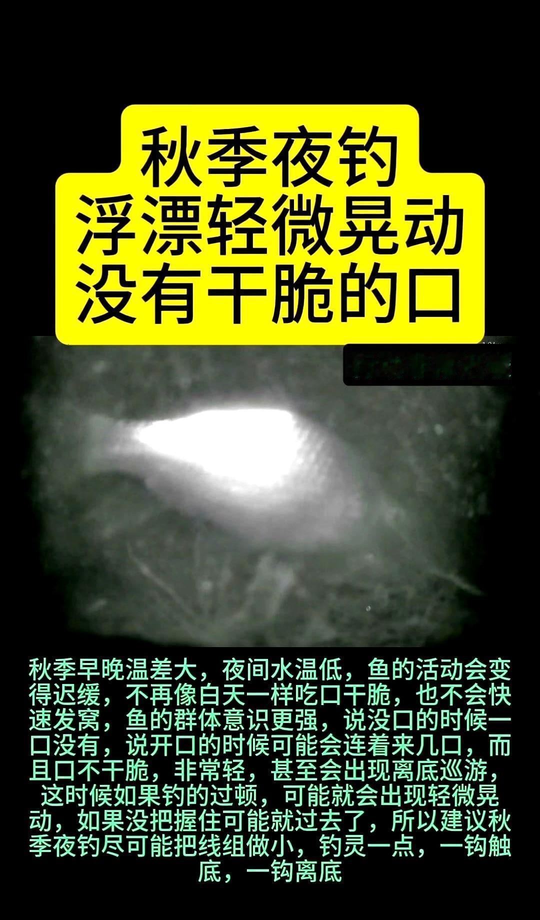 别怪鱼不开口，是你钩太粗、饵太硬、漂太钝。鱼不是变精了，是你的装备还停在十年前