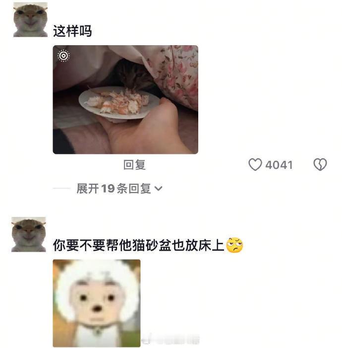 我们仍不知养猫人能有多溺爱小猫