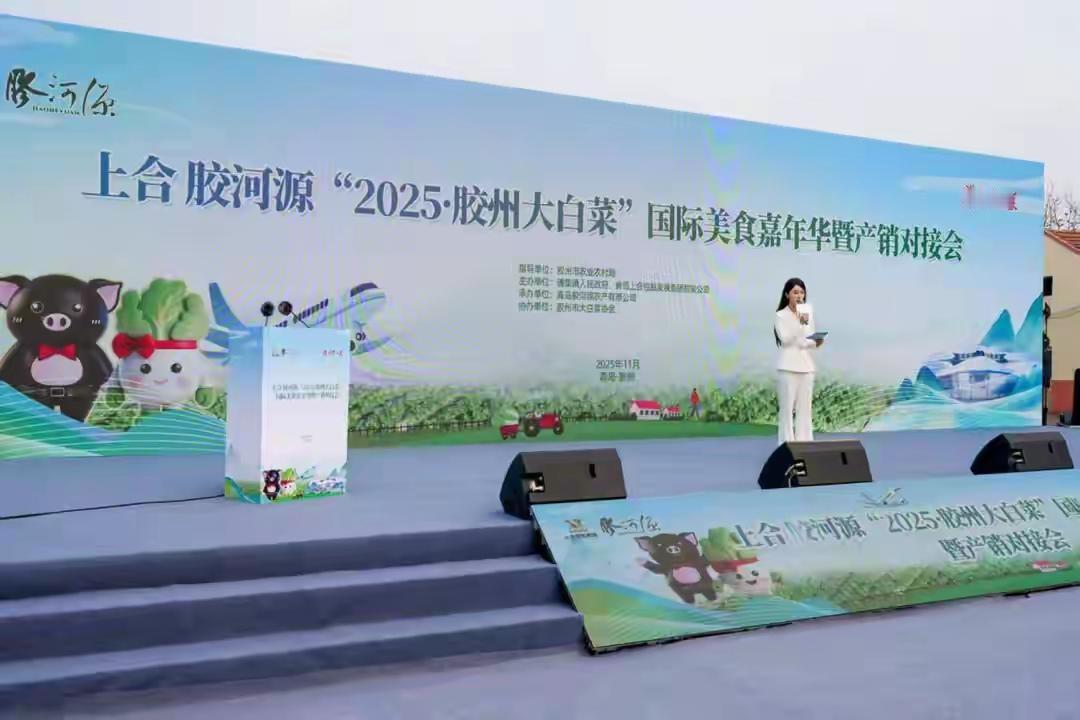 一棵青岛胶州大白菜的逆袭：从48元天价到征服30国餐桌，山东农人如何让土特产变身