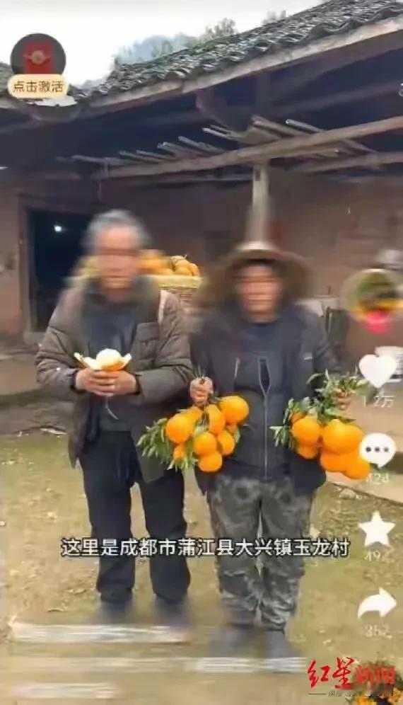 重拳出击，直播商售卖虚假“蒲江耙耙柑”被成都警方刑事立案调查。事发2026年1月