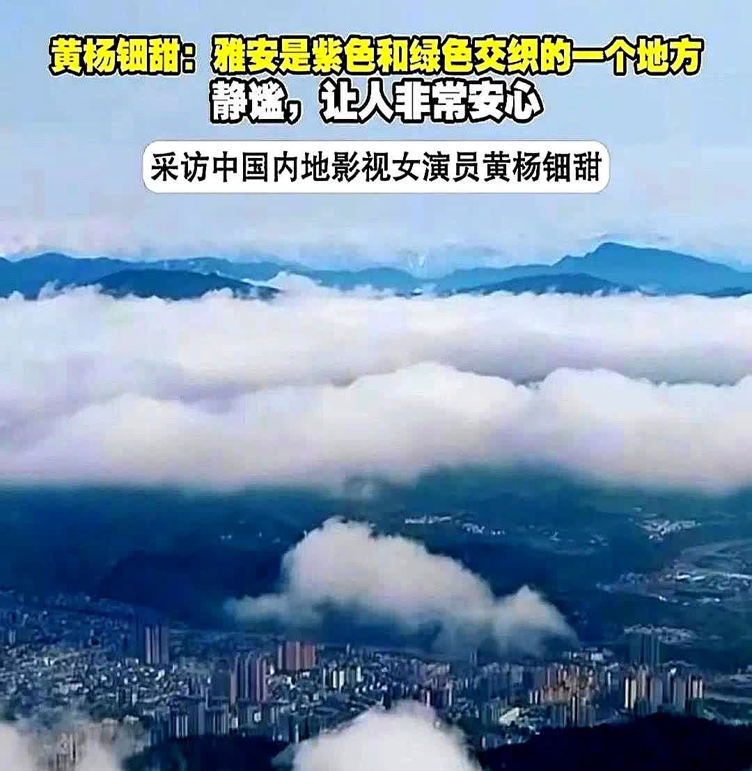 明明他们家一拿到钱就搬走了！黄杨钿甜刚出道的时候，雅安地方官方网站就发文