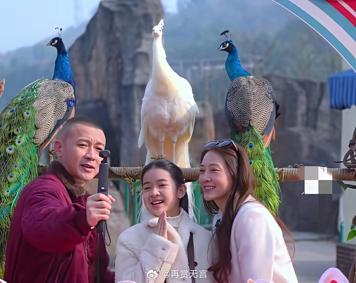 聂远老婆这么年轻的？原来明星去旅游也拍游客照