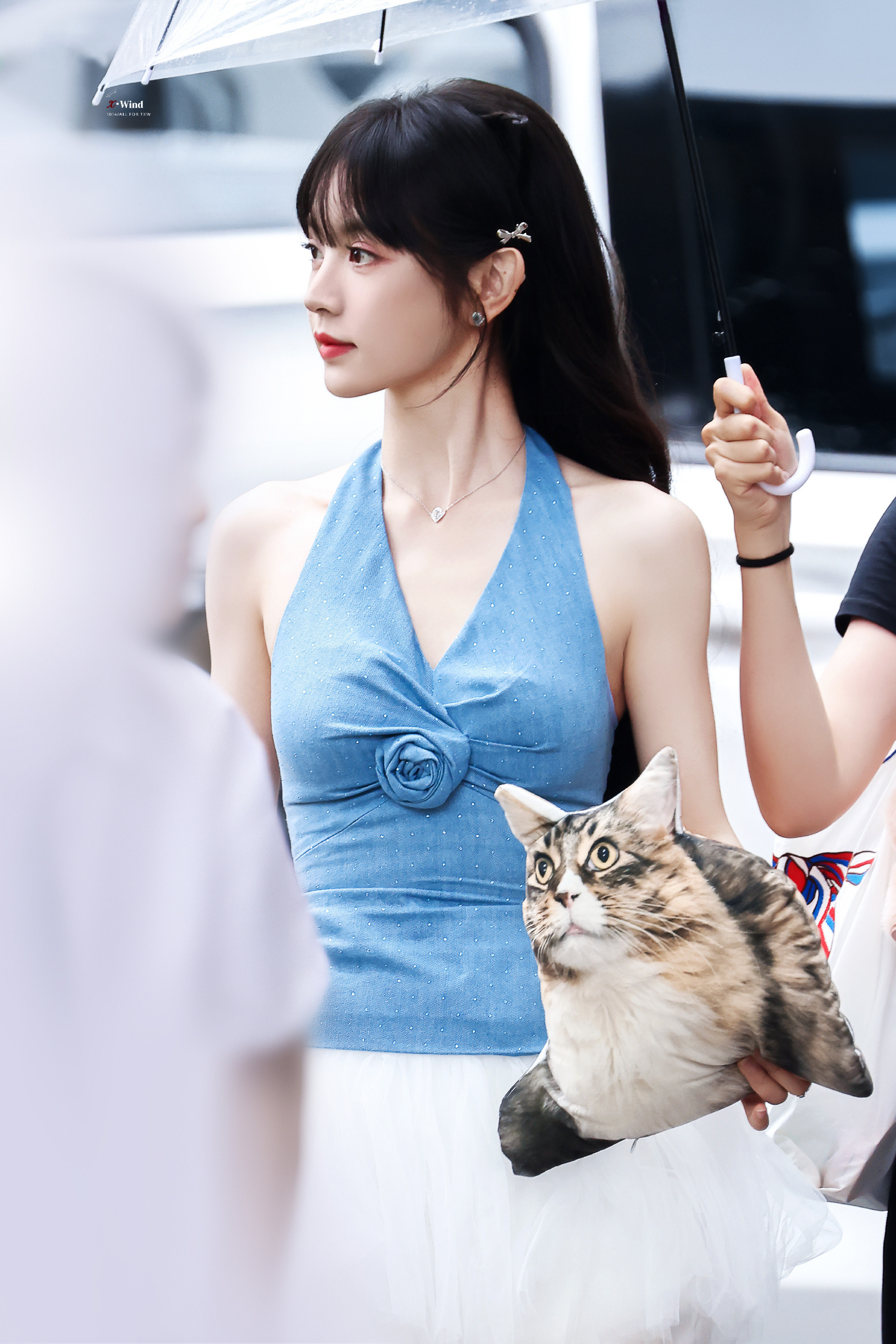 田曦薇将cos千金淑猫期待可爱的小田🤩​​​