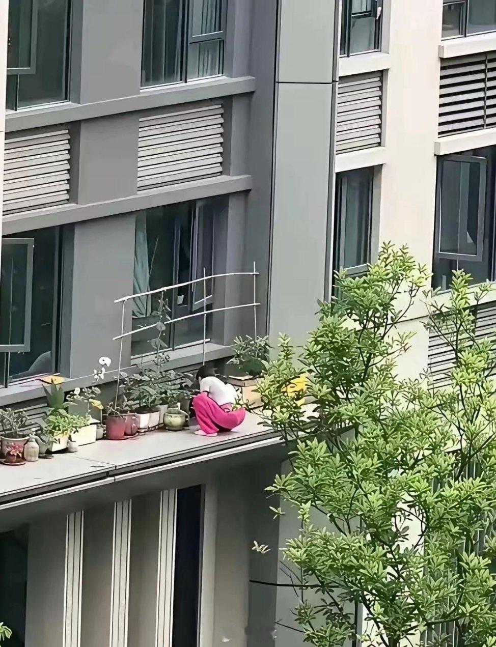 主人家心真大，在阳台上养花