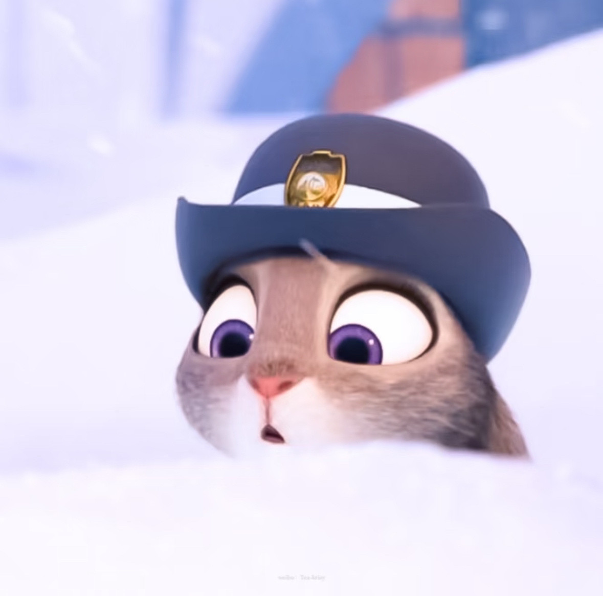 是可可爱爱的兔朱迪头像哦～🐰🥕次元新星计划疯狂动物城2025动漫嘉年华