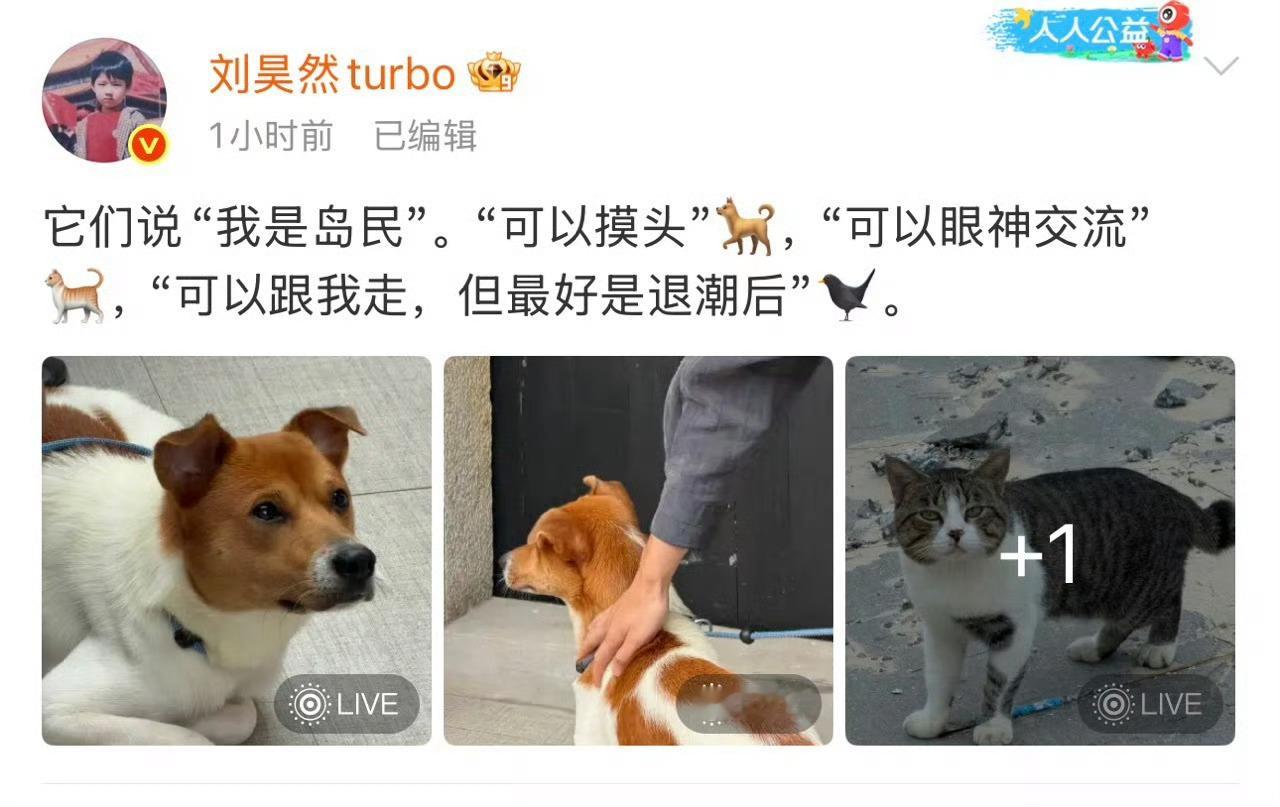 很难不怀疑的评论区是有什么暗号存在的，岛民日常一经解锁，评论区秒变猫猫狗狗社交