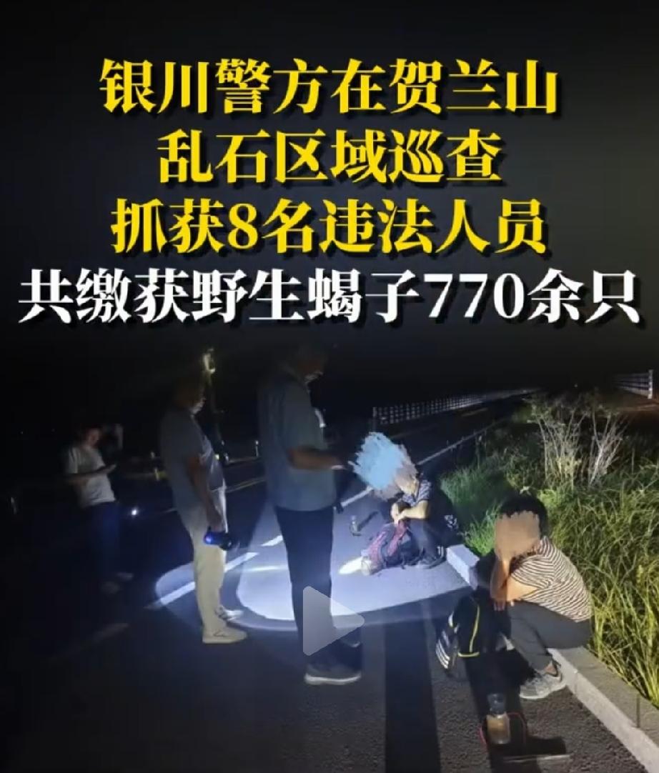 野生蝎子在自然界的生态系统中，对控制害虫种群，维持土壤微生物平衡发挥了重要作用。