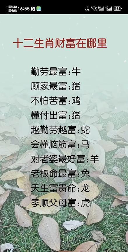 十二生肖财富指南：哪些生肖最富？
