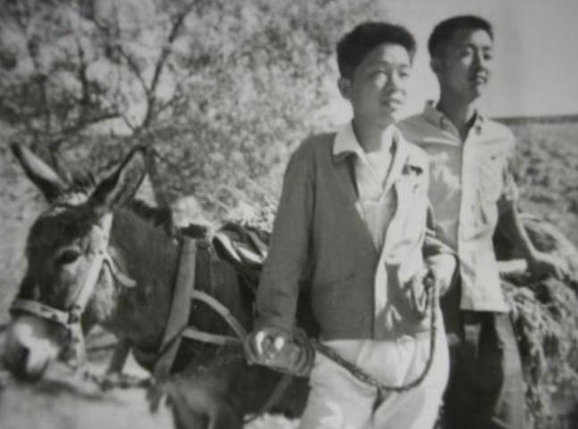 1970年，17岁知青偷吃老乡2只鸭子，老乡大怒：“赔钱，20块钱一分都不能少！