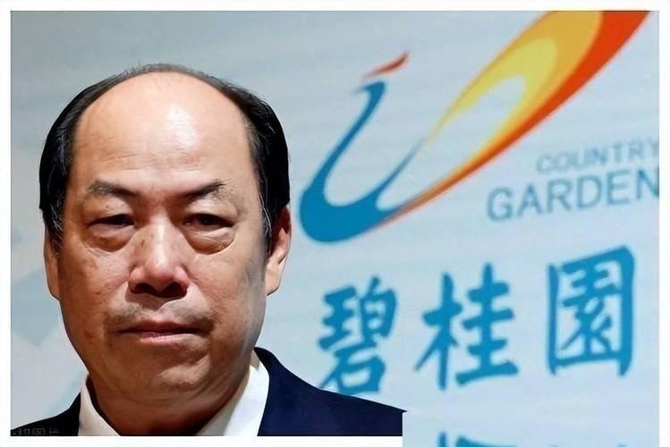 碧桂园爆雷比恒大更棘手！目睹许家印终局，杨氏父女全力求生。多数人只看账面负债