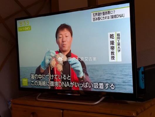 一个教授，名叫乾隆帝，但是是日本人​​​