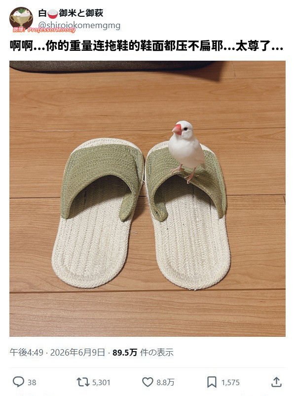 身轻如鸟meme