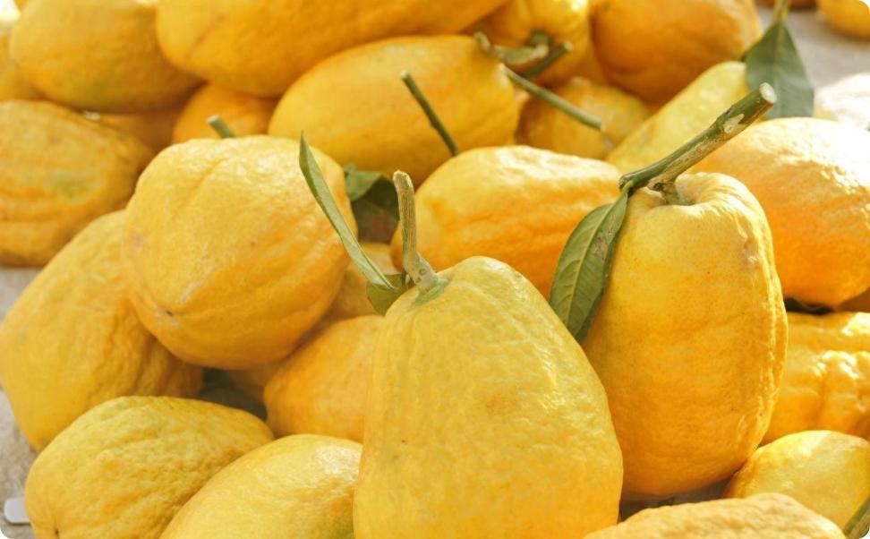 1个应季水果，是化痰高手，隔天喝一次，痰湿真的挺好清的大家好，我是中医陈大夫