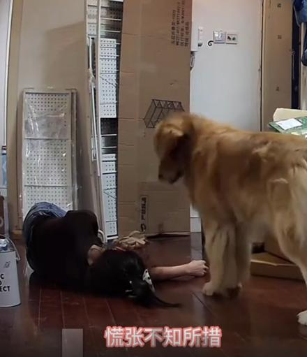 万万没有想到，9月15日，上海，一独居女子独自在家拆包裹时，突然发生低血糖后晕倒