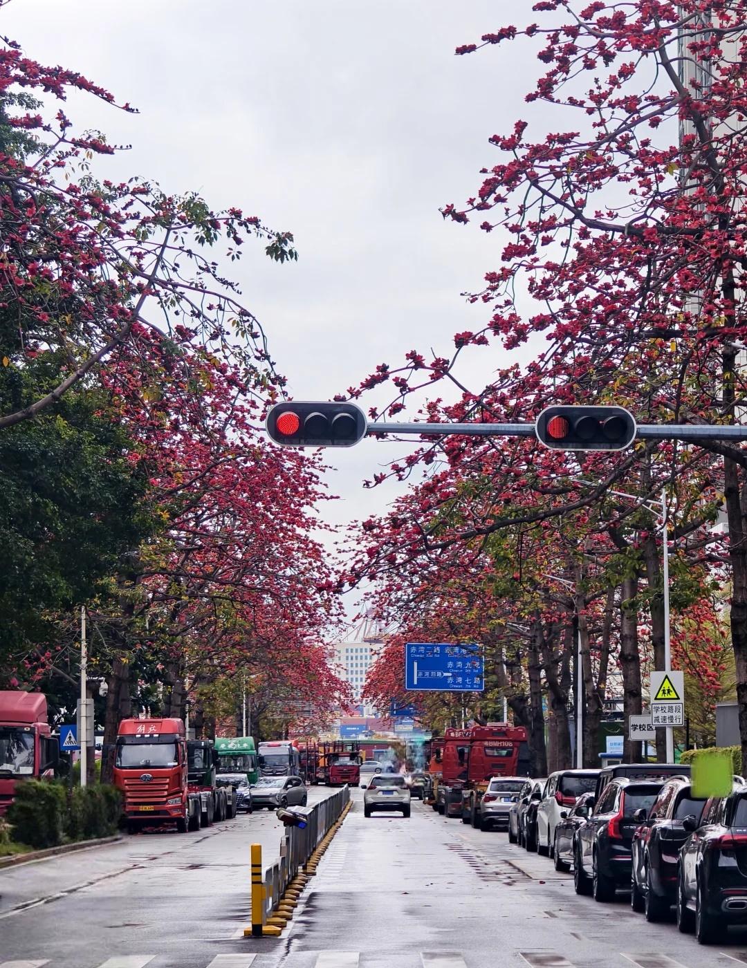 百花盛开的城市后花园半日游路线:赤湾地铁站赤湾地铁站C出口～赤湾五路～华英路