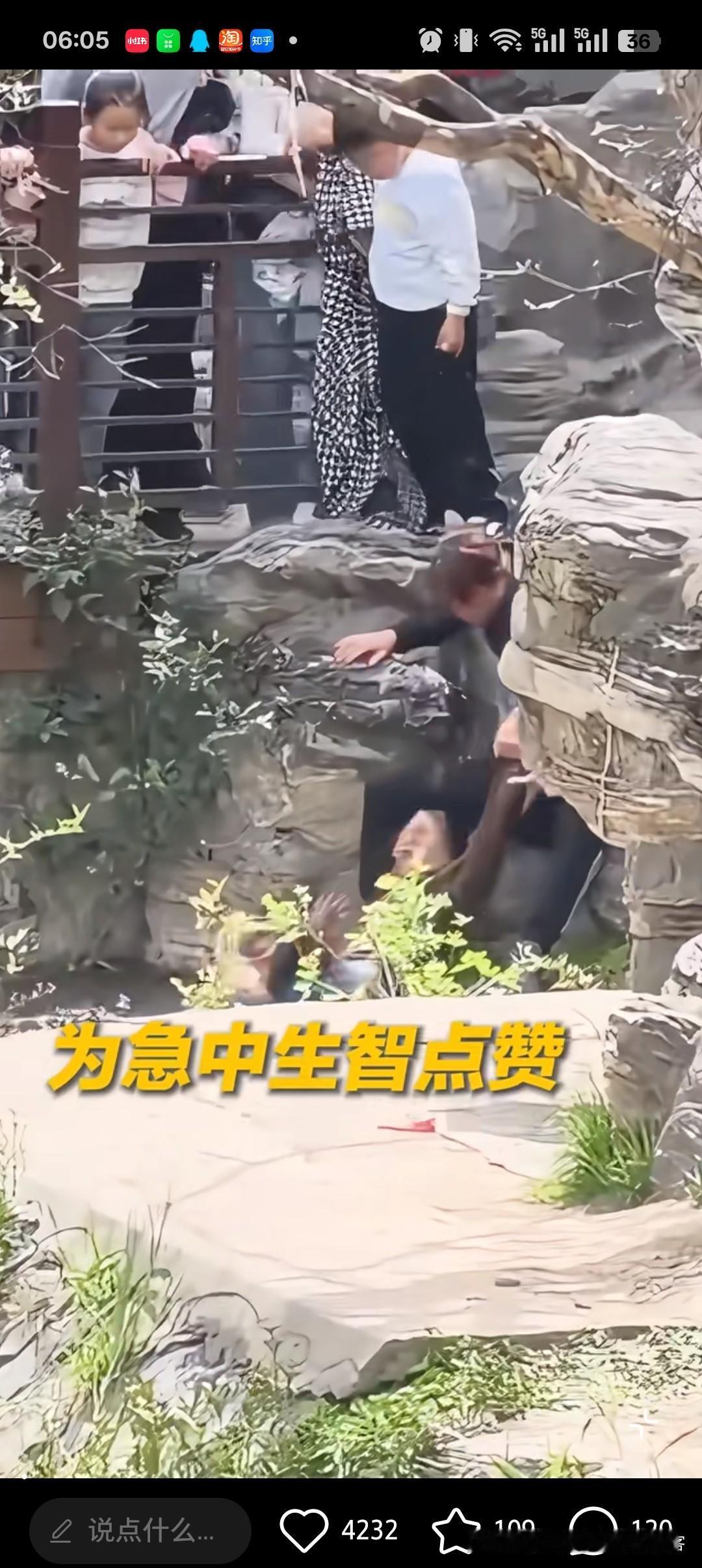 西安兴庆宫公园这一幕，真的看哭了前两天刷到西安兴庆宫公园的事，一大人带孩子