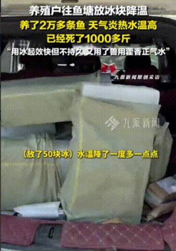 “聪明人就是厉害！”湖南岳阳，一男子承包了20多亩鱼塘，养了快20000条鱼，可
