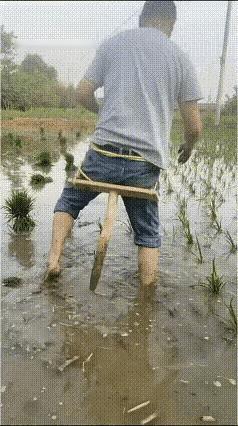 农民的智慧是无穷的农民老农感悟农民心得农民种地智慧老辈种地智慧种田感悟