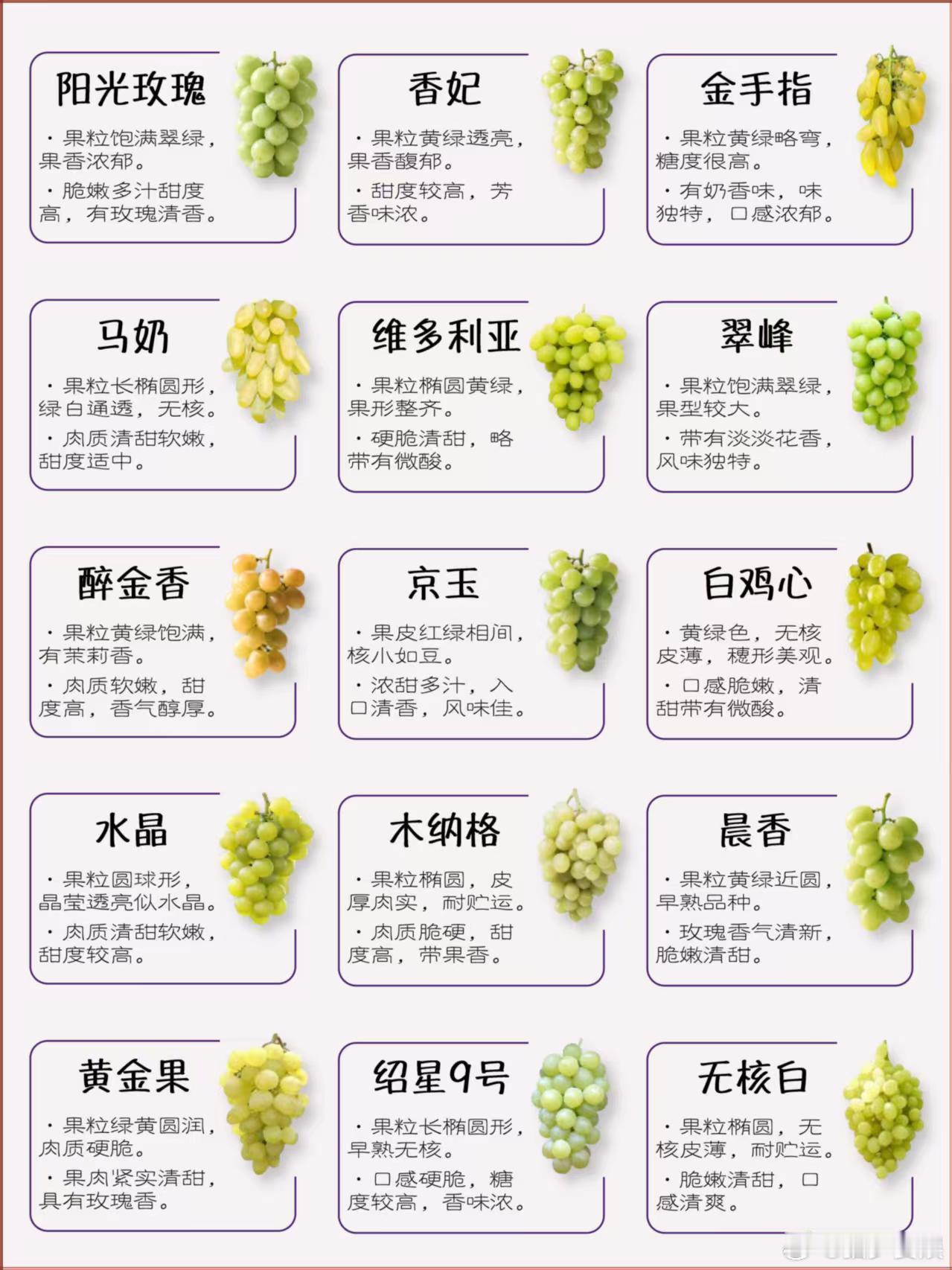 吐鲁番有500余种葡萄干10颗葡萄干里9颗来自吐鲁番吐鲁番不愧是葡萄干王国！50