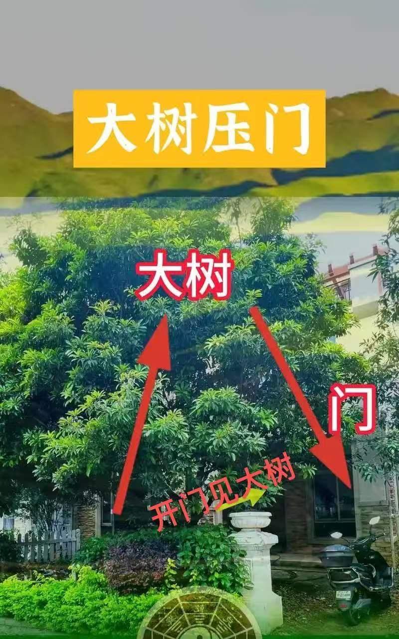 一人一风水，一命一风水，一屋一风水，一坟一风水。房屋风水外环境决定外磁场，突发意