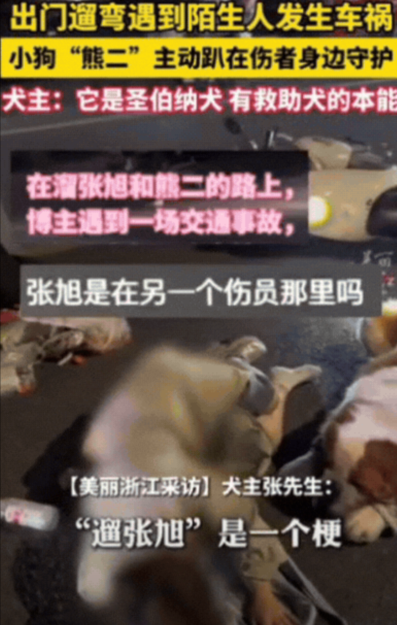 “太有灵性了！”黑龙江，男子出门遛狗，遇到2个女生发生车祸，趴地上动弹不得，他急