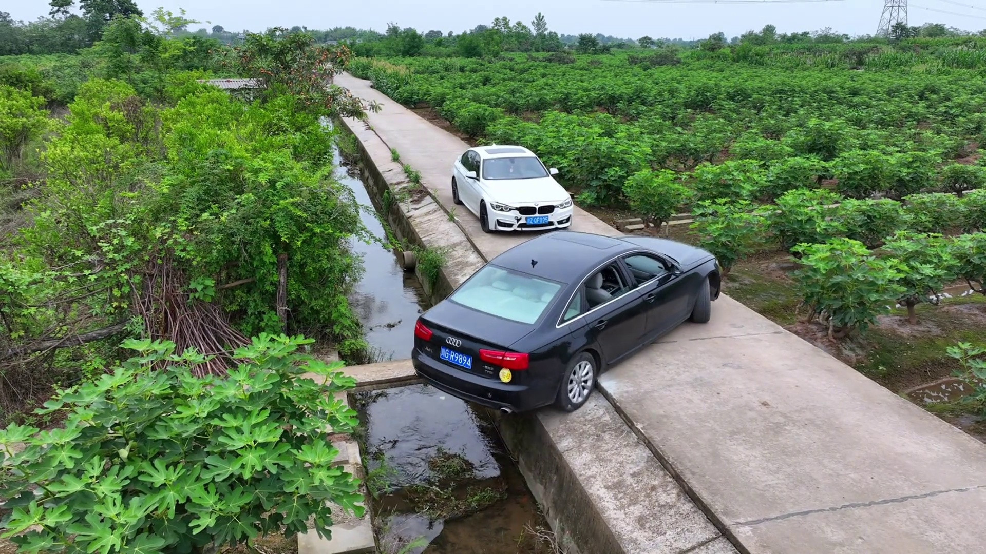 实习期新手窄路会车绝技：老司机都惊叹的技术操作