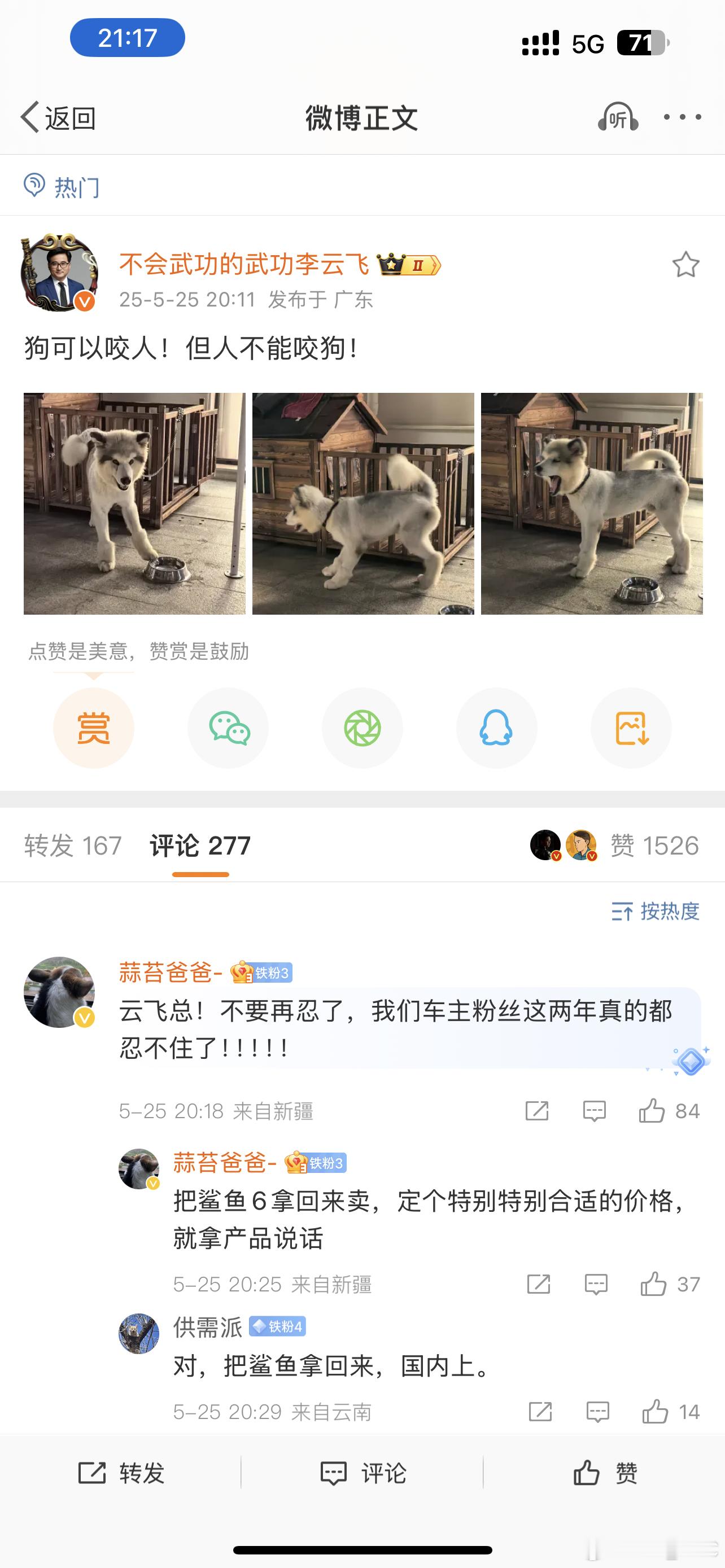 又是狗咬人，又是捉鬼的，这是在说啥呢🌚🌚🌚​​​