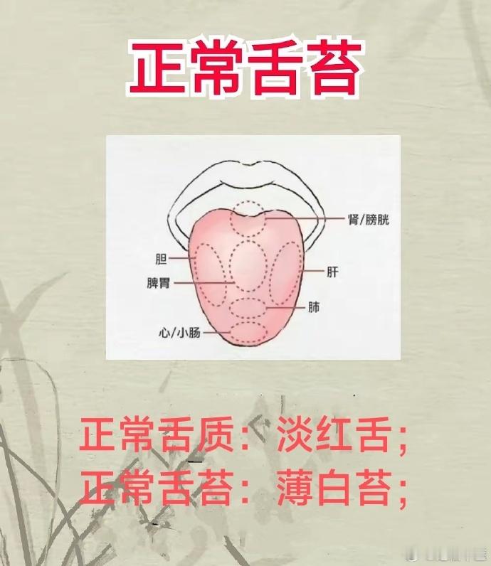 中医舌诊；正常舌苔；阴虚舌苔；阳虚舌苔；气虚舌苔；