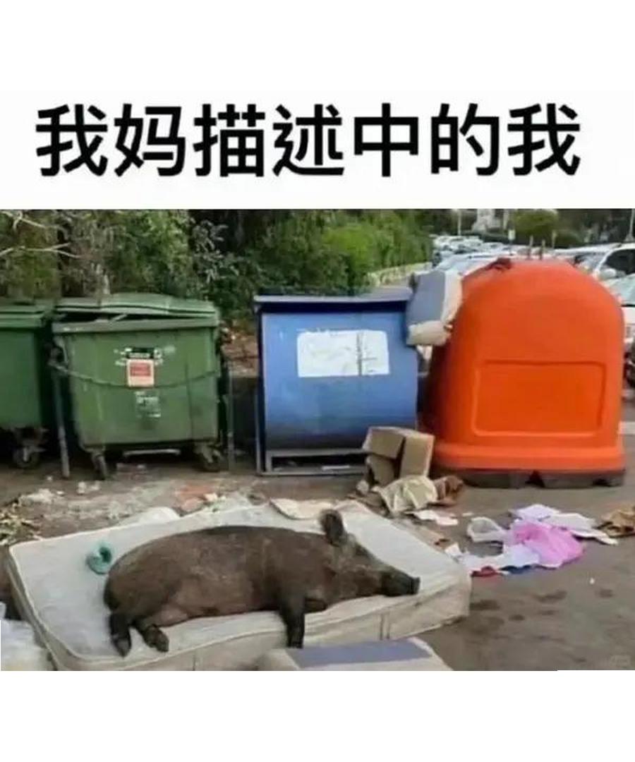 我妈描述中的我