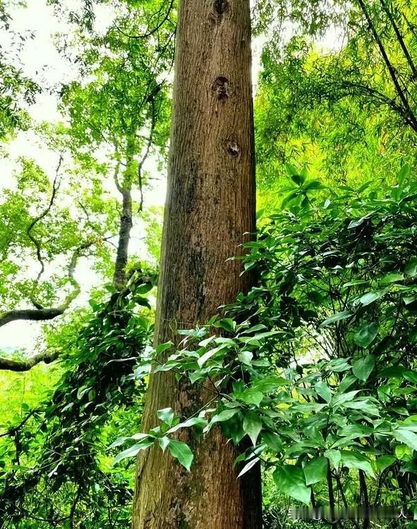 表姐是我们这个小家族里，过的最好也最有钱的人，但她做的，让我们不理解。首先过