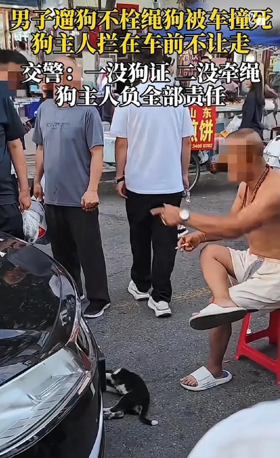 本以为能讹点钱，结果全责！[捂脸哭]车主这个解气啊！男子遛狗不栓绳狗被撞死，