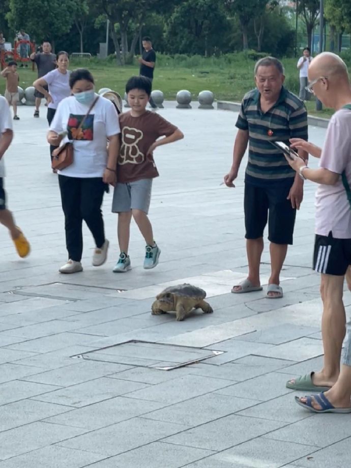 性骚扰如此简单！！！