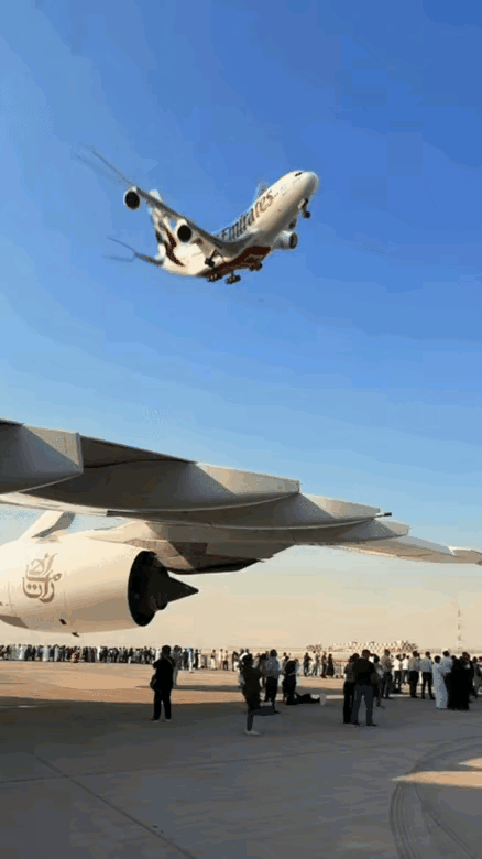 就离谱[笑着哭]