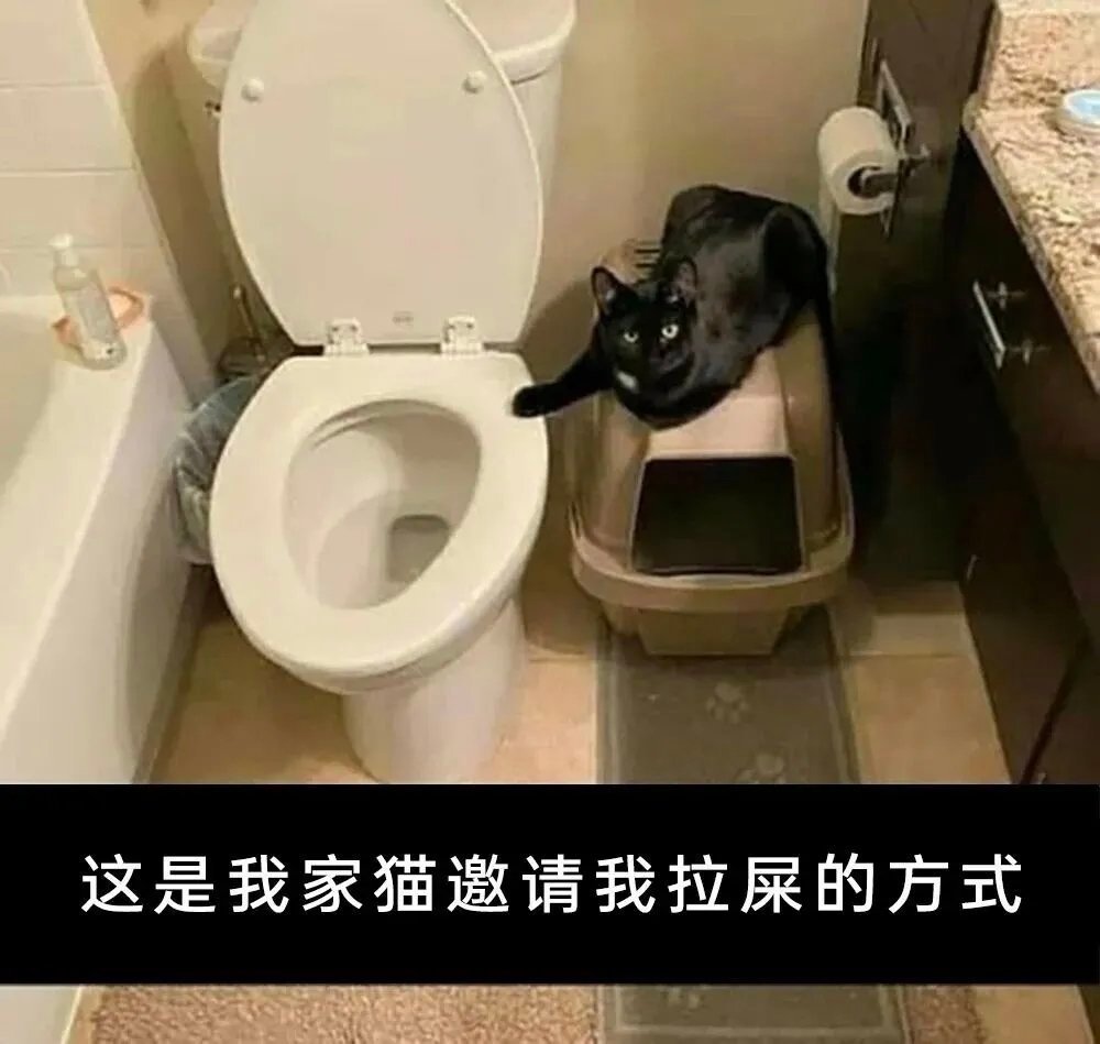 对你的人生毫无意义但很萌的猫猫memememe