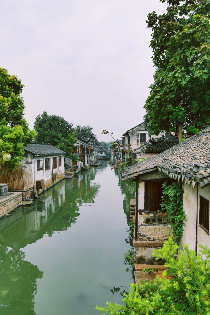雨后的周庄，如此静谧动人。