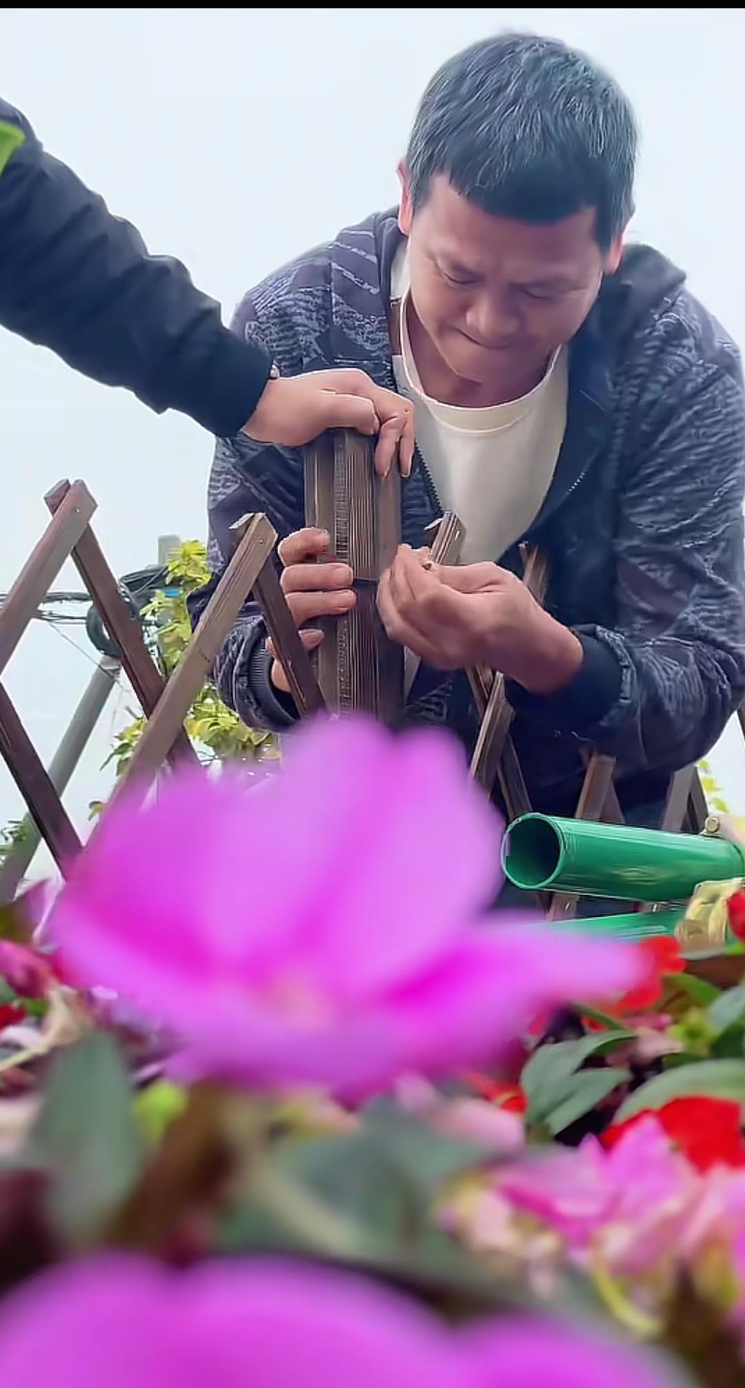 12月22日，全红婵的爸爸又忙着做事了，给新开的水果店门口的那棵凤凰树加装了栅栏