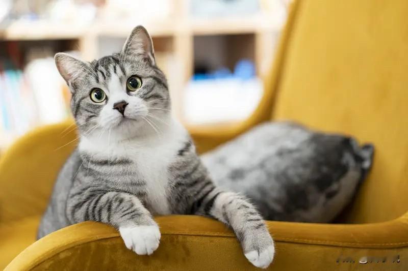 一定要懂的20条人情世故​​1、不要在别人说话的时候，玩手机。2、学会