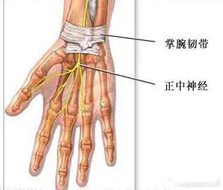手腕疼痛【腕管综合征康复】手掌麻木不舒服？手部没有力气？今天我们一起来聊聊这个