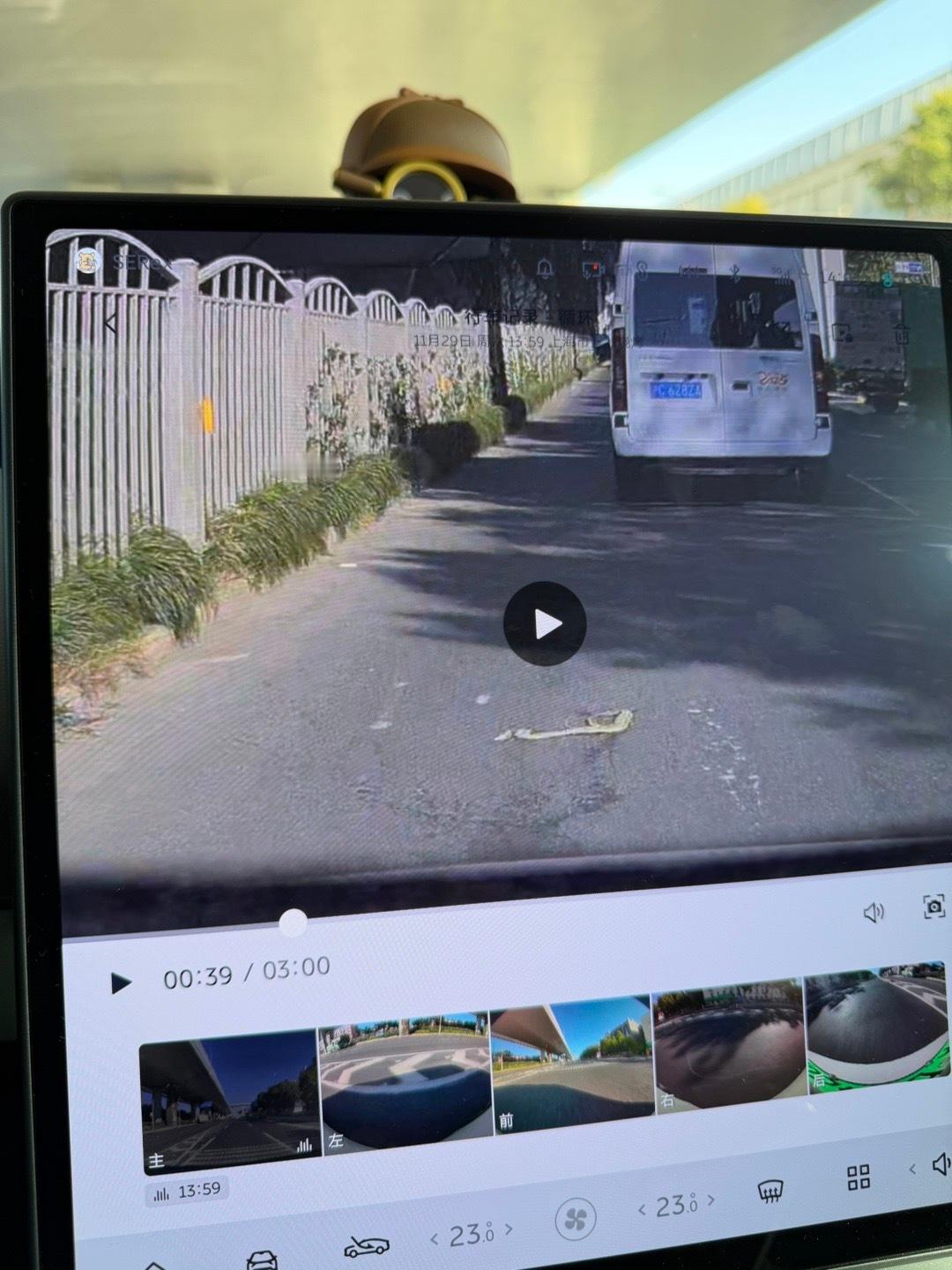 也是活久见了，高架底下看到一条被压扁的蛇…