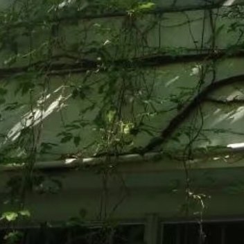 每日一善每日一善阳光信用熊猫守护者0000不管做什么，都不要急于回报！因为播种
