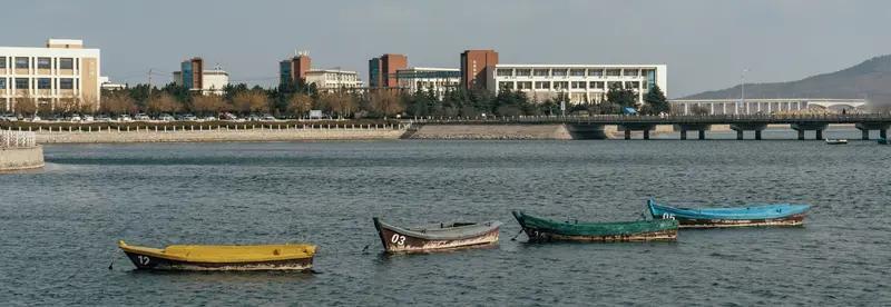 我发现烟台的大学取名都不愿意带烟台两个字。滨州医学院改名为山东医药大学，现在烟台