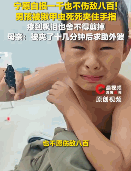 江苏淮安，一男孩平日里视锹甲虫为珍宝，不料玩耍时手指竟被死死夹住。他从强装淡定“