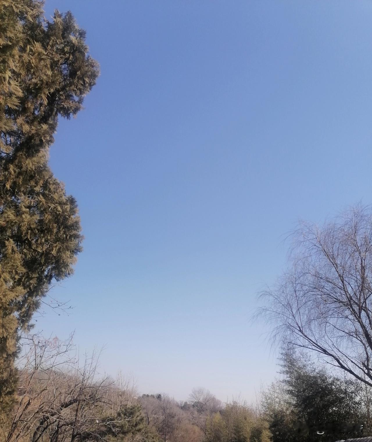 内心不强大的人才喜欢和朋友乱乱哄哄地玩，到头来还是孤独。躲避灾难就得躲避人群，和