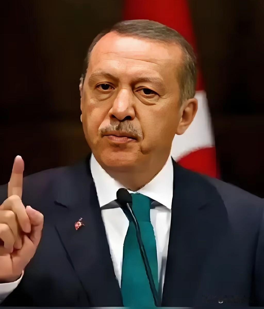 埃尔多安让人看不懂：对欺负到家的以色列沉默，却对远方有需求的俄罗斯亮剑！最近