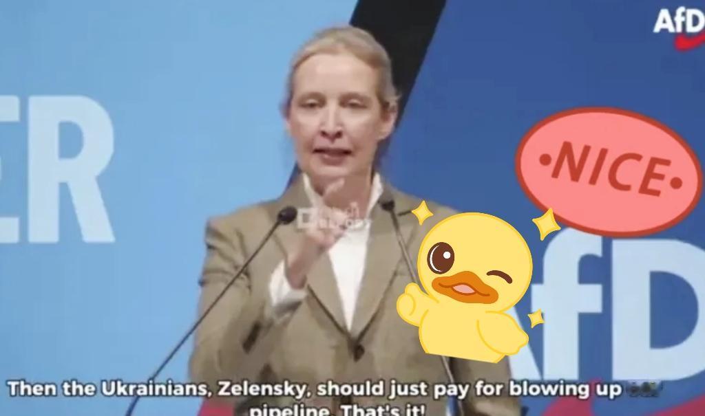 德国国会这次算是彻底撕破脸了！那个爱丽丝·魏德尔真是什么大实话都敢往外蹦。