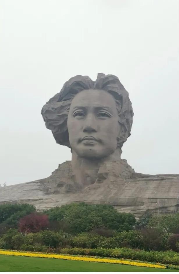 你看这队伍，从山东、河南、甘肃，从大江南北连夜赶来，就为了在凌晨寒风中献上一束花