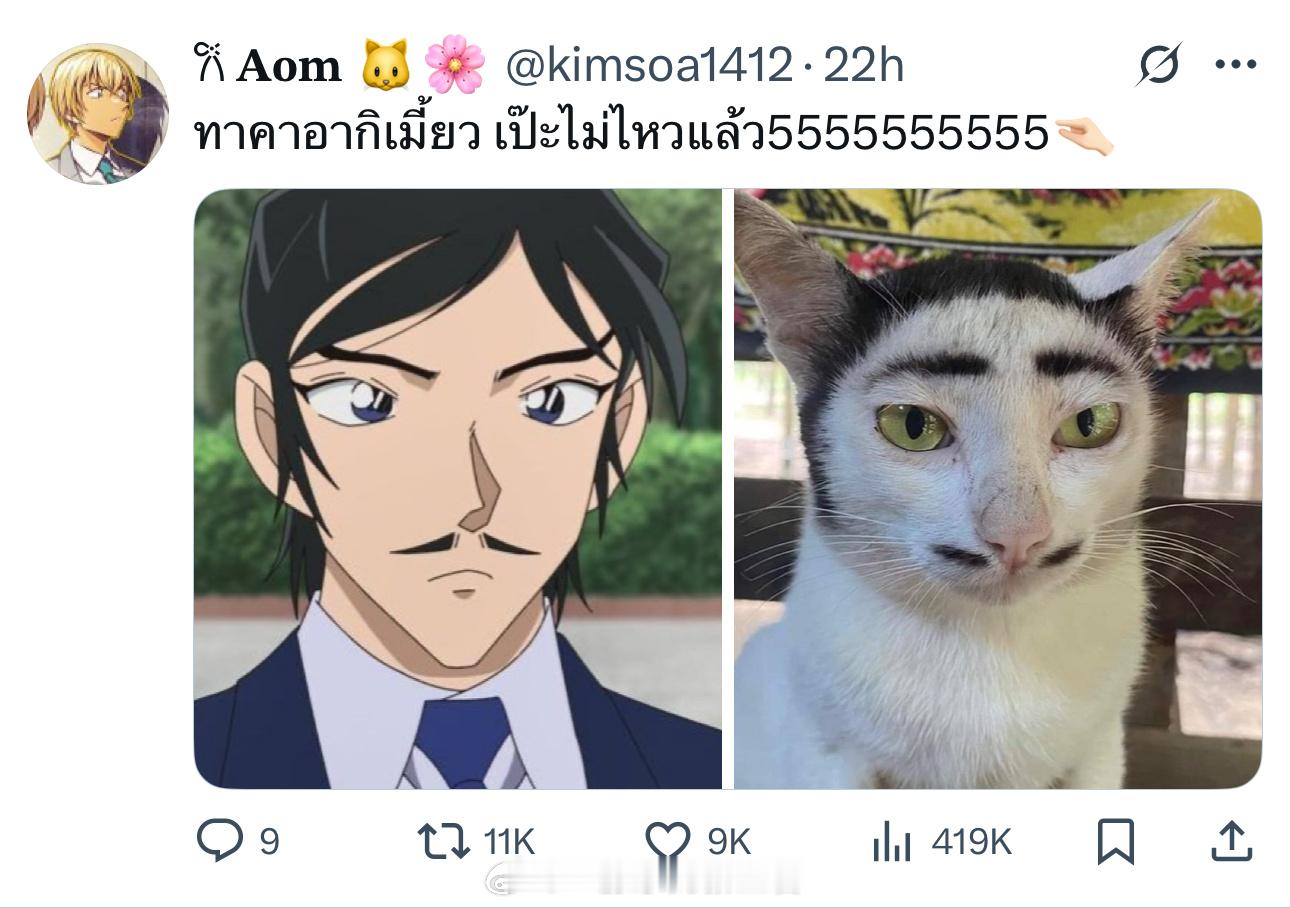 名侦探柯南独眼的残像❄️名侦探柯南高明&像高明的猫猫[doge]​​​